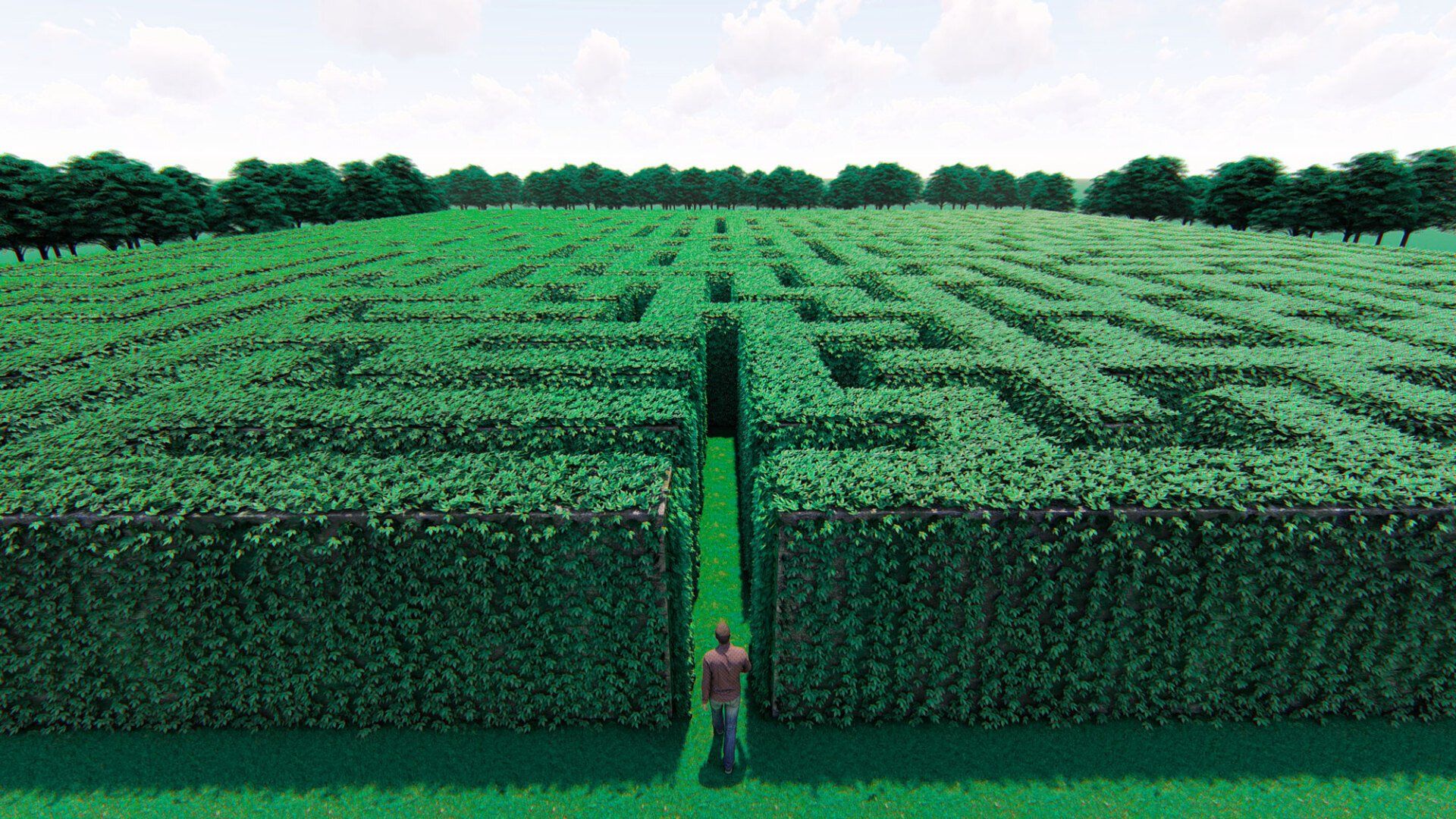 persona inquadrata dall'alto, che sta per entrare in un enorme labirinto di siepi verdi
