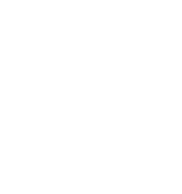 Solo Logo linked to home page
