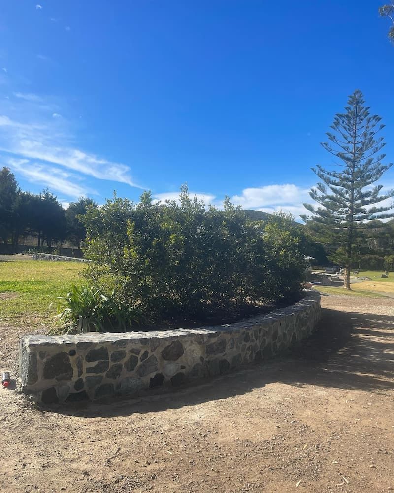 A Stone Wall With A Tree In The Background — Millers Masonry In Laurieton, NSW