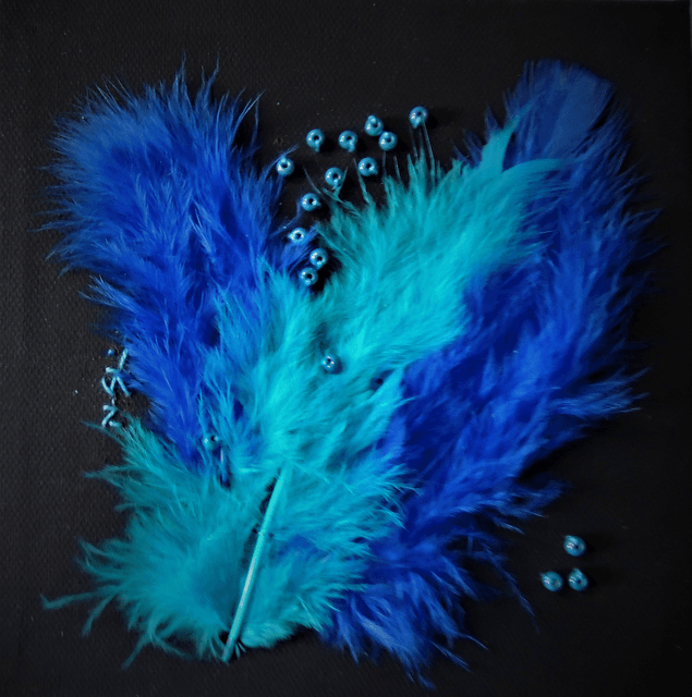 Blue feathers and beads on a black background