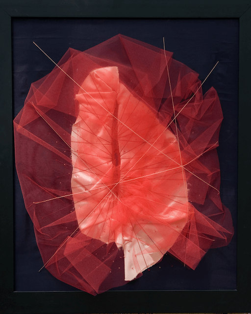 A red and white flower in a black frame