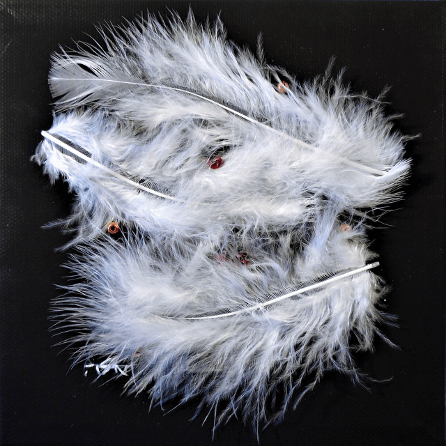 Two white feathers are stacked on top of each other on a black background