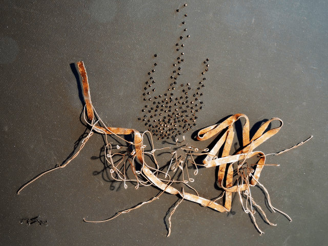 A drawing of a plant with a few branches and roots