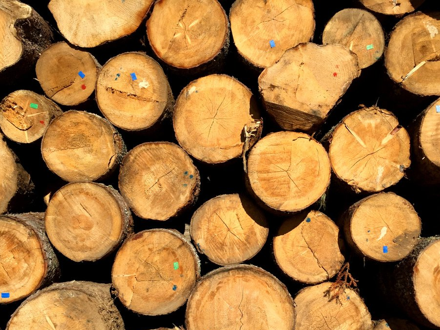 Grasshoppers landclearing and tree services in Louisville