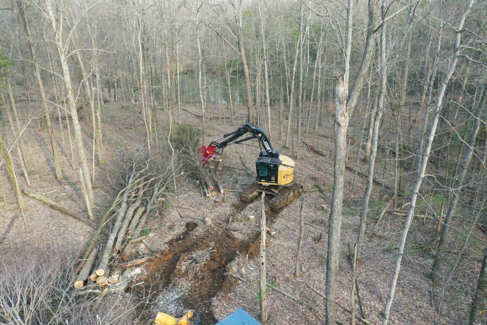 Landclearing and tree removal in louisville