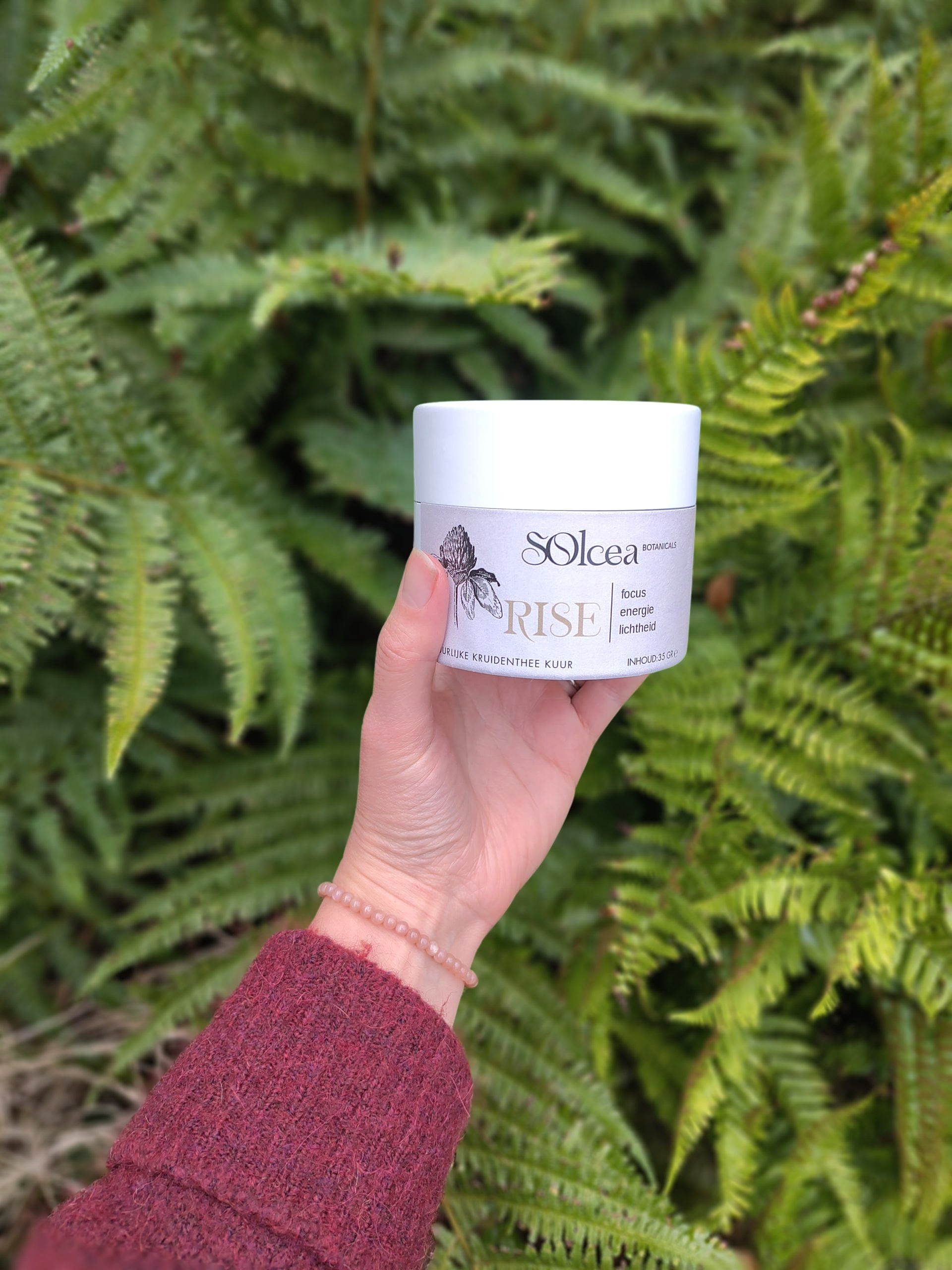 RISE - Kruidenthee kuur 3 weken