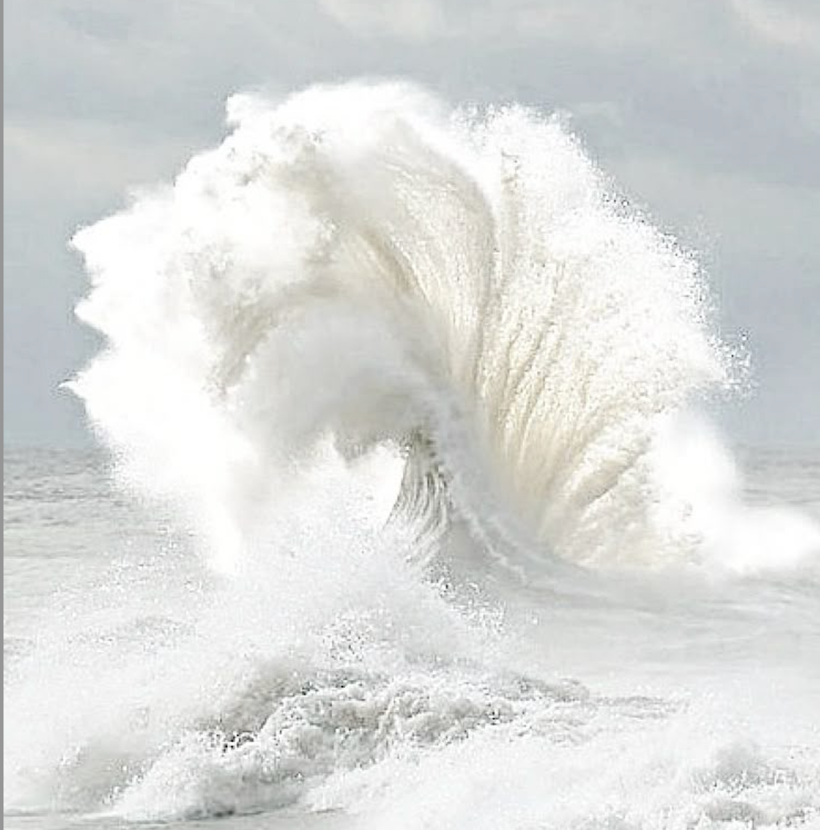 RESET - SPRAY (HYDROLATEN)