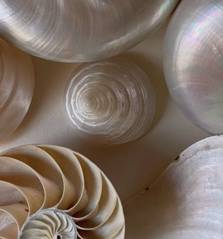 SOLcea full luxury set