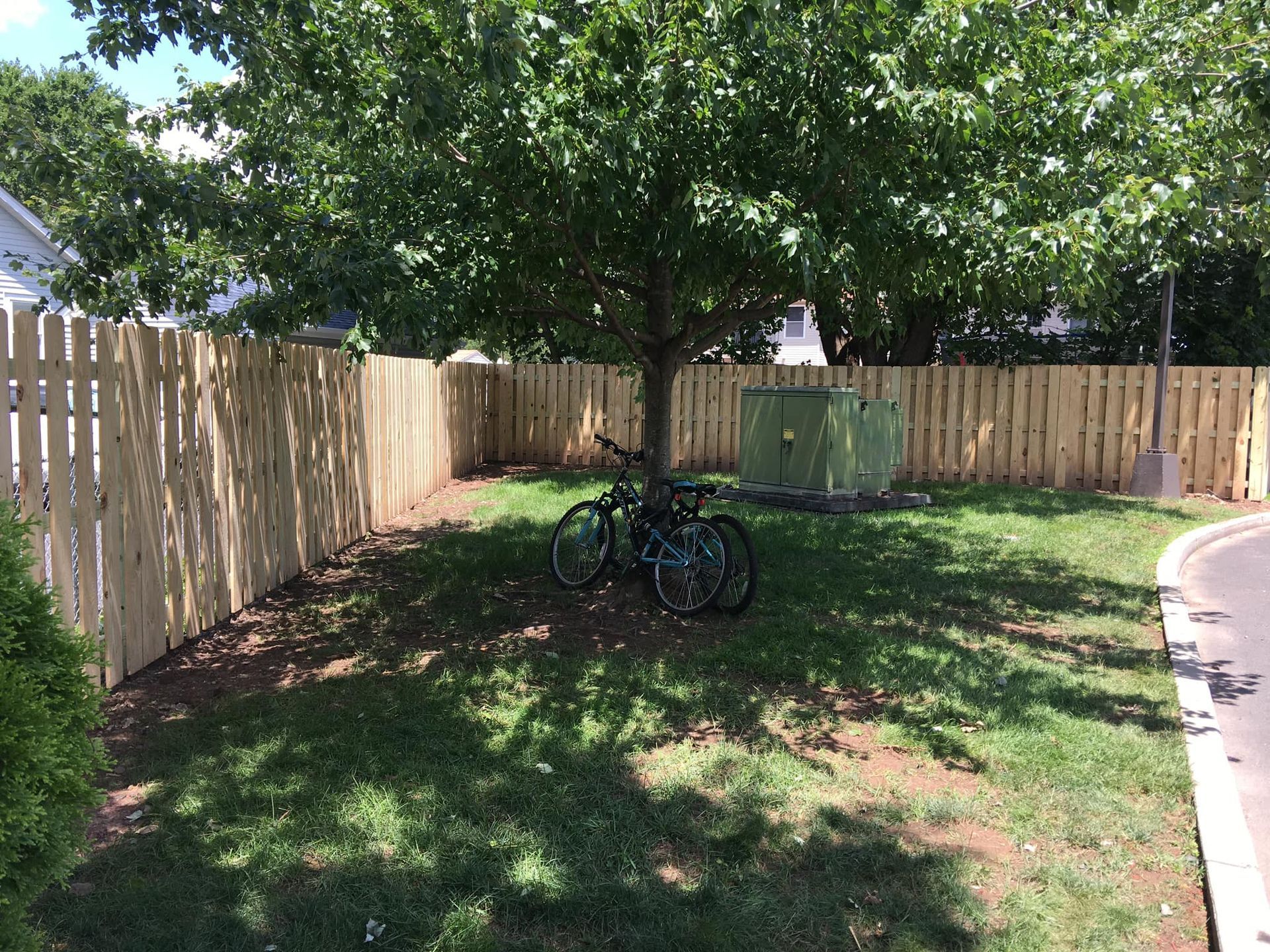 Two bicycles parked under a tree, within a fenced yard.
