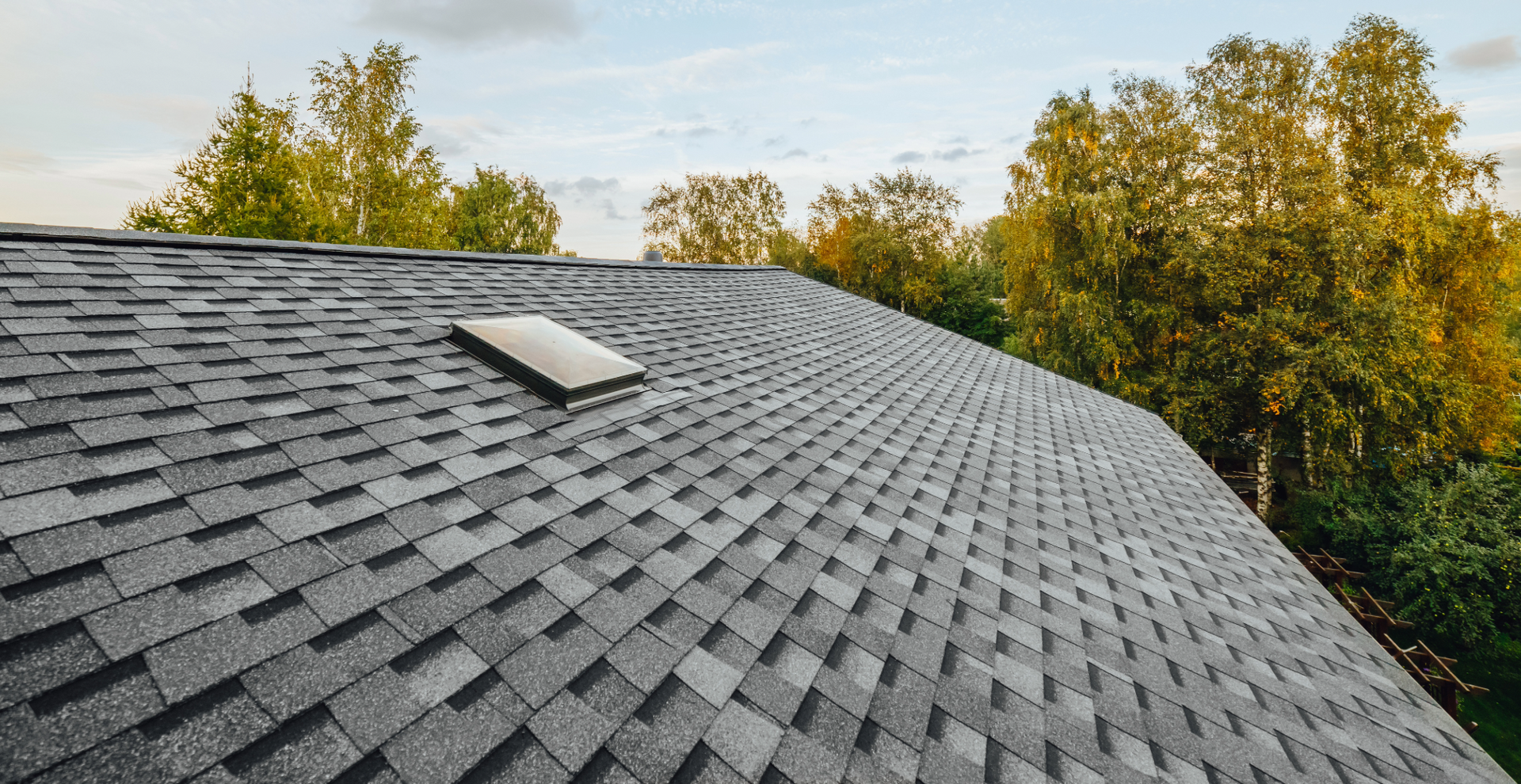 The roof of a house with a skylight and trees in the background.