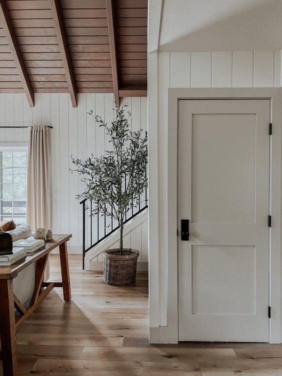 A living room with a white door and a potted plant on the floor.