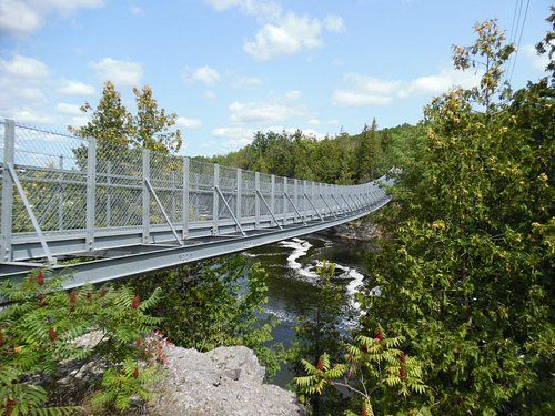 The Ranney Gorge suspension bridge over the Trent River surrounded by trees.