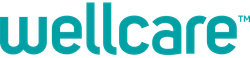 The wellcare logo is blue and white on a white background.