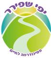 יפי שפירר- פסיכודרמה לחיים