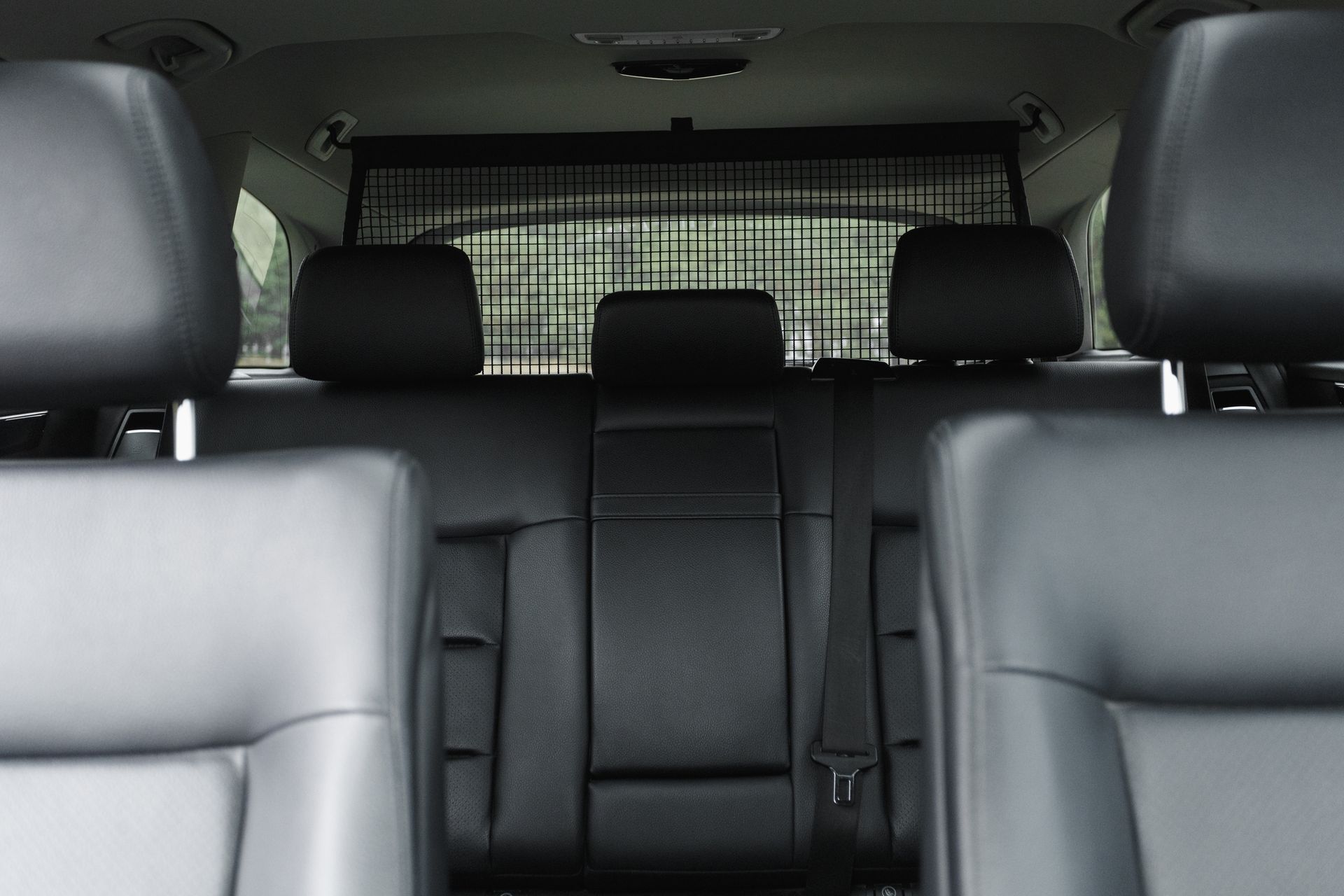 A woman is applying paint to a car window with a brush.