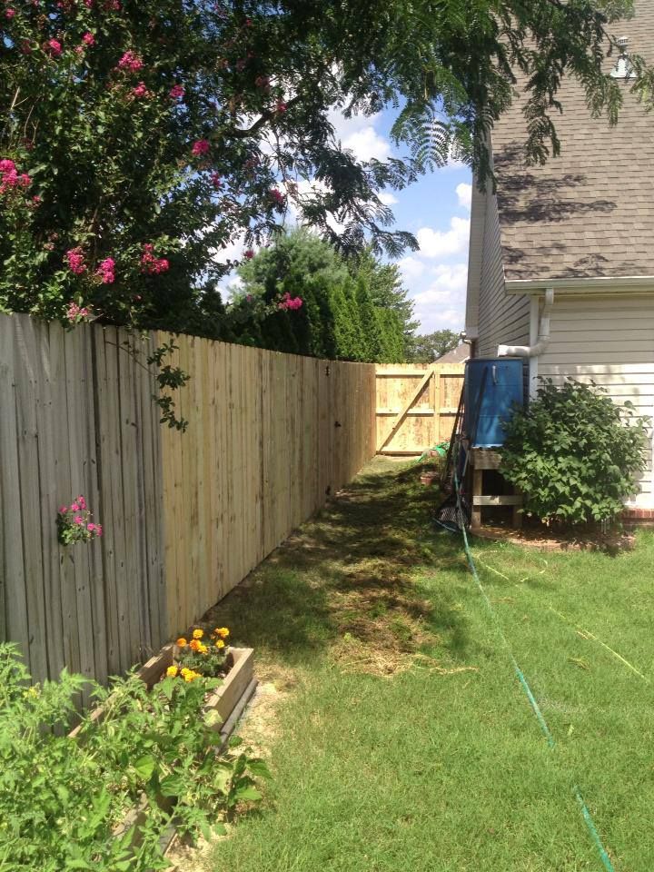 A wooden fence with a gate in the backyard of a house.