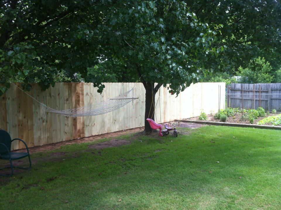 A hammock is hanging from a tree in a backyard