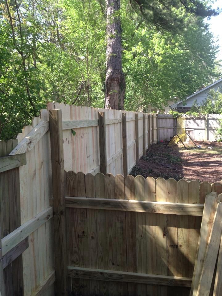 A wooden fence is surrounded by trees in a backyard.