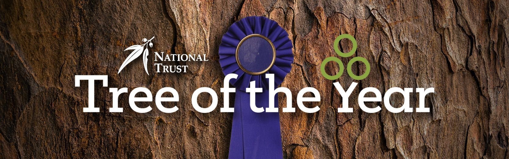 Logo for National Trust's Tree of the Year, with blue ribbon and green circles on a tree bark background.