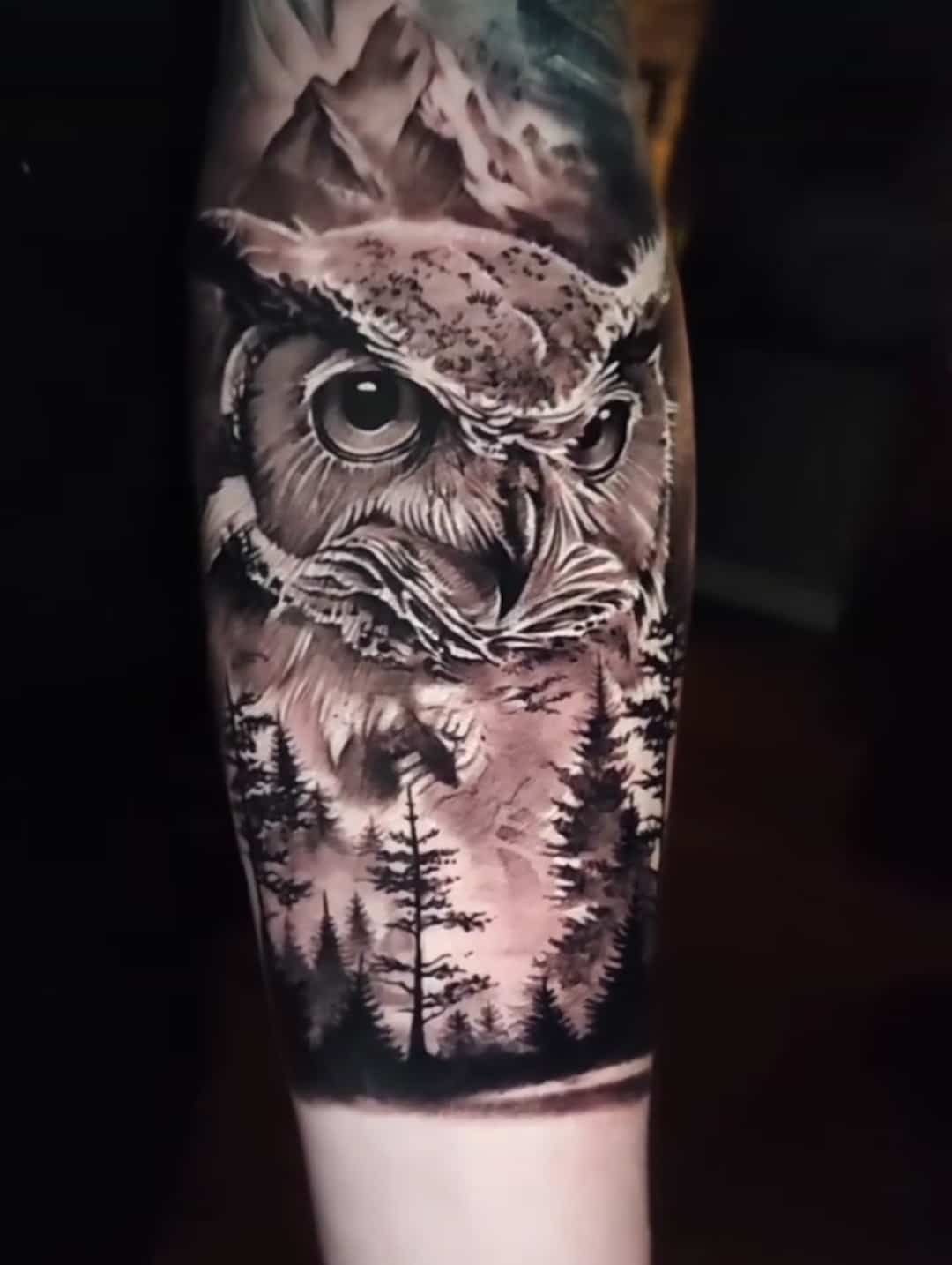 Black and white owl tattoo on arm, with forest and mountain background.