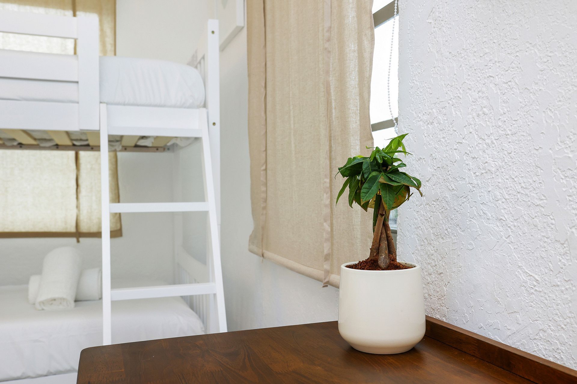 Bunk beds in white, near a window with sheer curtains. A potted green plant sits on a dark wooden table.