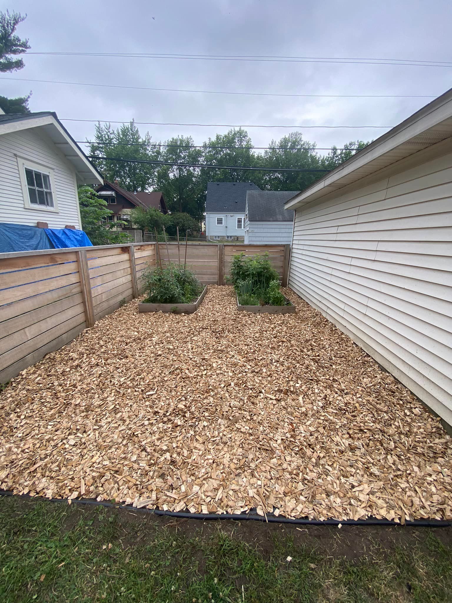 A backyard garden space with two raised plant beds, wood chips covering the ground, and a horizontal wood fence.
