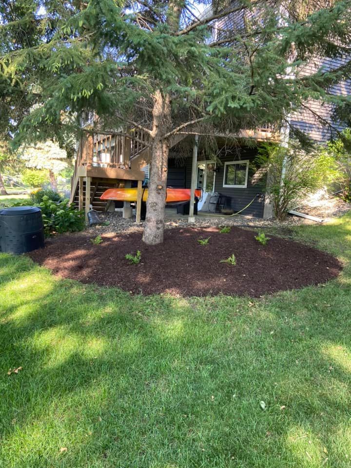 A mulched garden bed surrounds the base of a large evergreen tree in a residential yard near a house deck.