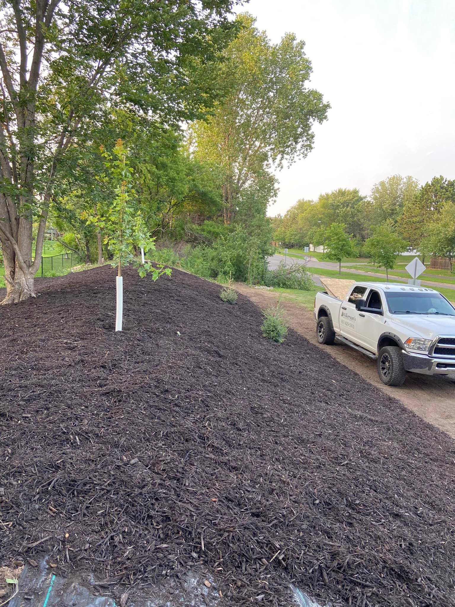 A white pickup truck parked beside a large embankment covered in dark mulch with several newly planted saplings.