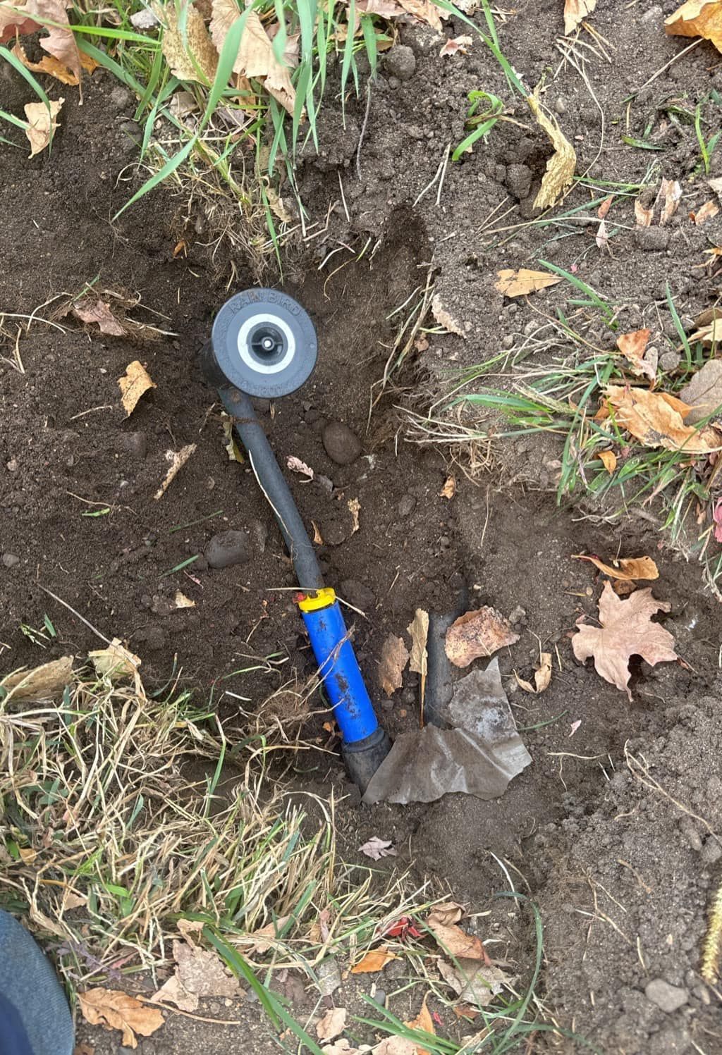 A black-handled shovel with a blue grip resting in a patch of dirt next to a circular landscape irrigation sprinkler head.