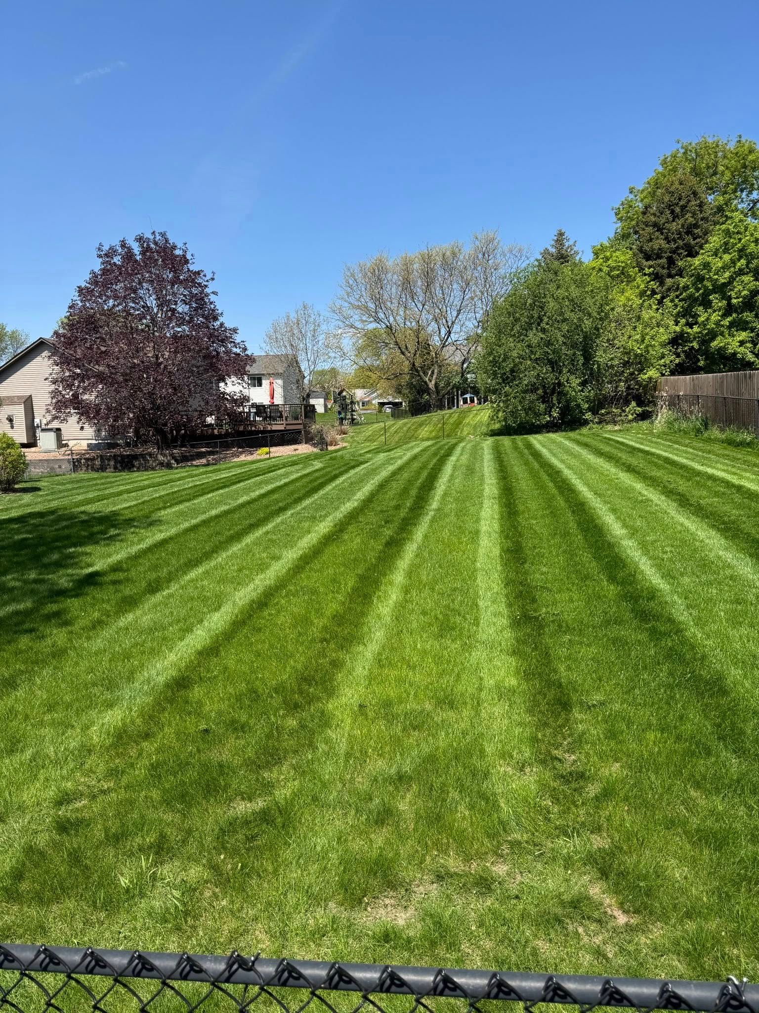 A bright green lawn with crisp, freshly mowed stripes, framed by trees and a clear blue sky.