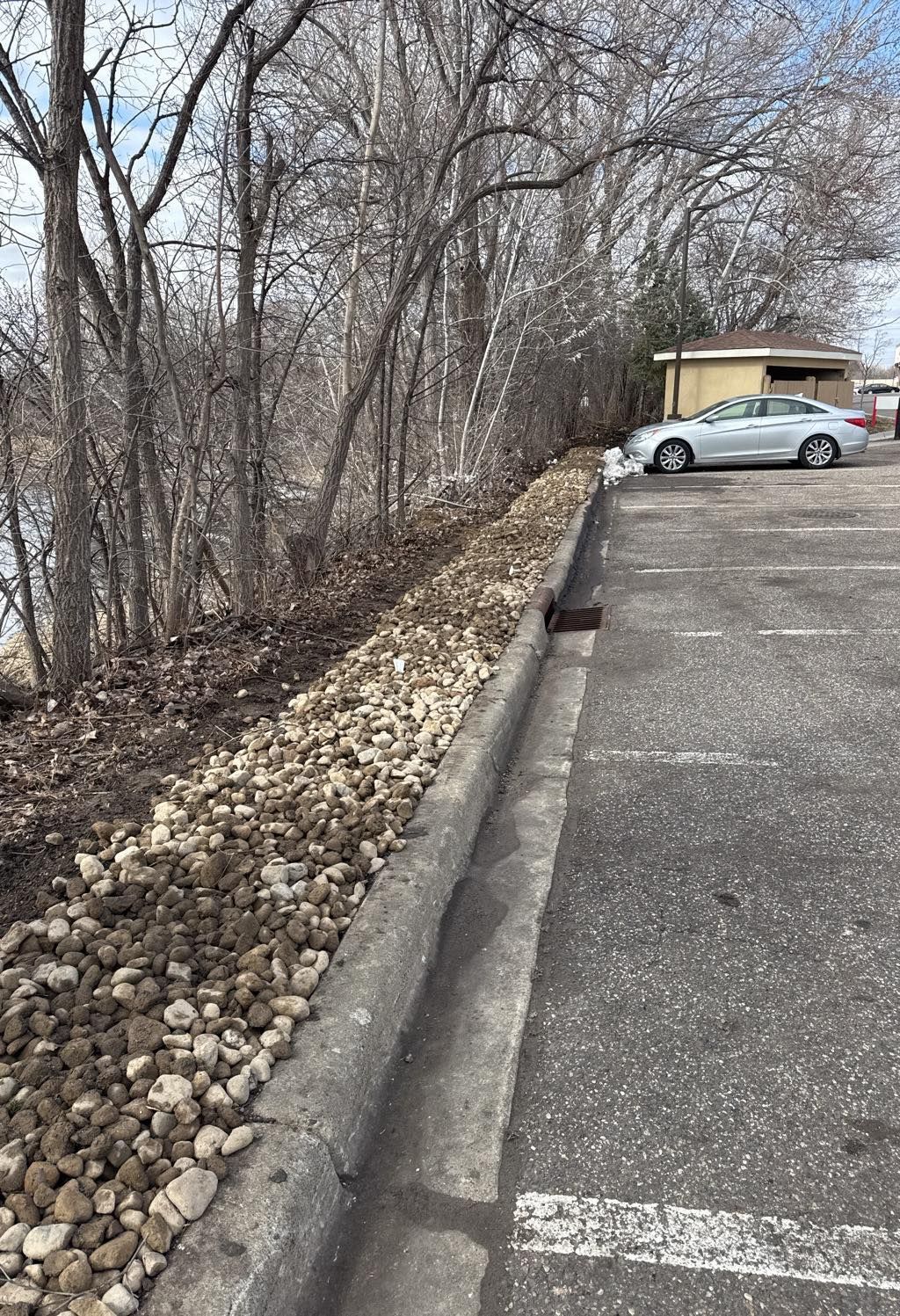 A silver car parked next to a curb and a rocky embankment near a row of bare trees on a bright day.