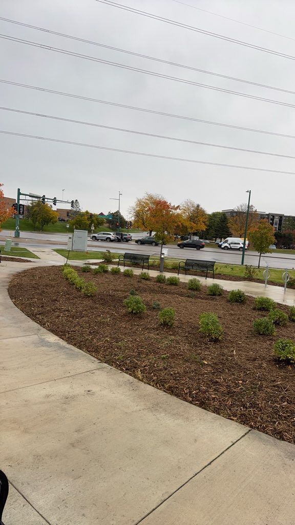 A landscaped garden bed with small shrubs and brown mulch next to a sidewalk, overlooking a parking lot on an overcast day.