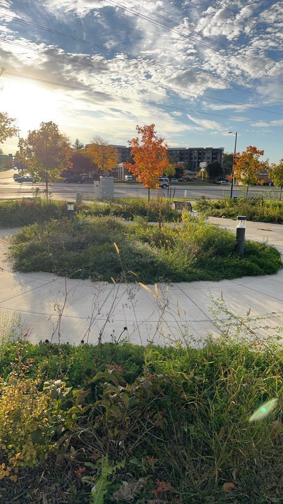 A sunlit park scene features a circular garden bed with autumn trees and shrubs, surrounded by a paved walking path.