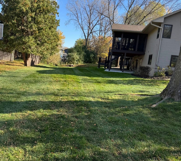 A sunlit backyard lawn extends toward a house with a wooden deck, bordered by trees under a clear blue sky.