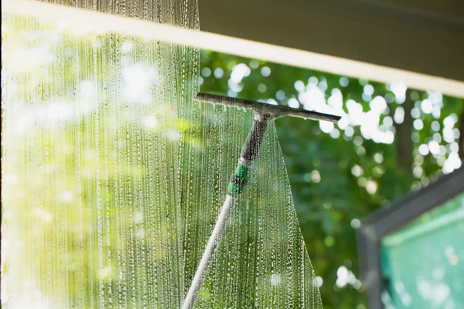A squeegee cleans a wet, soapy window against a bright, blurred green foliage background.
