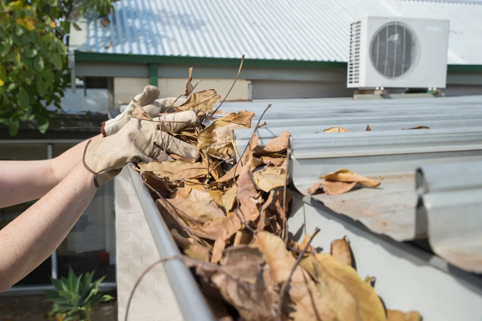 Hands in work gloves remove a large pile of dry, brown leaves from a metal roof gutter.