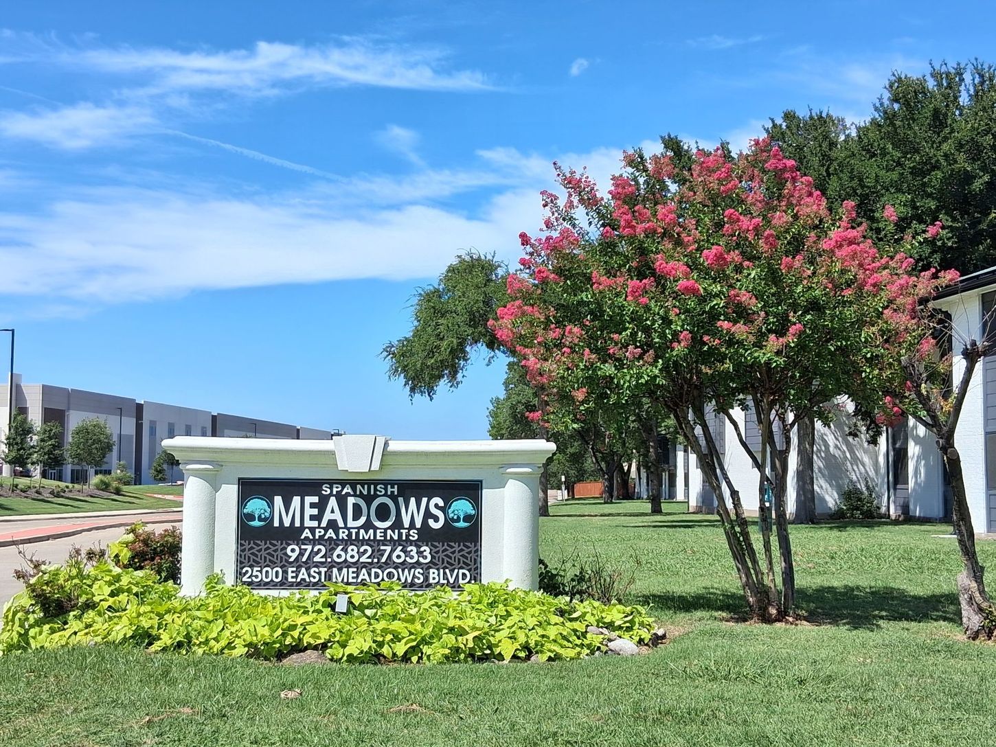 Sign for Meadows Apartments with flowering tree, grass, and buildings under a blue sky.