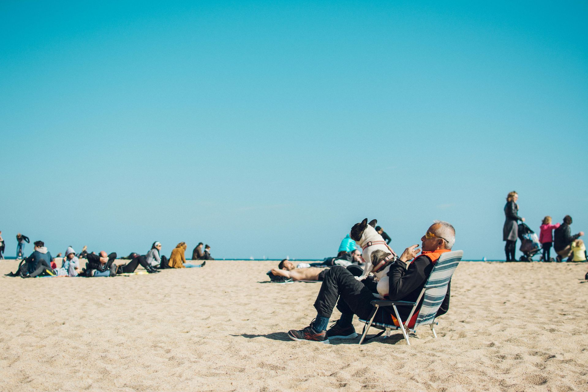 Man and dog relax in beach chair, others sunbathe on sandy beach under blue sky.