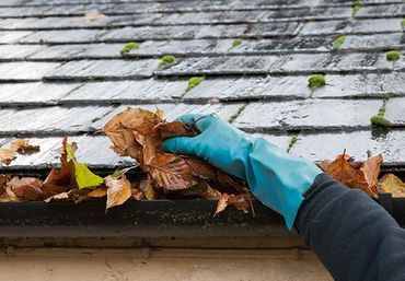 Image of gutter cleaning service