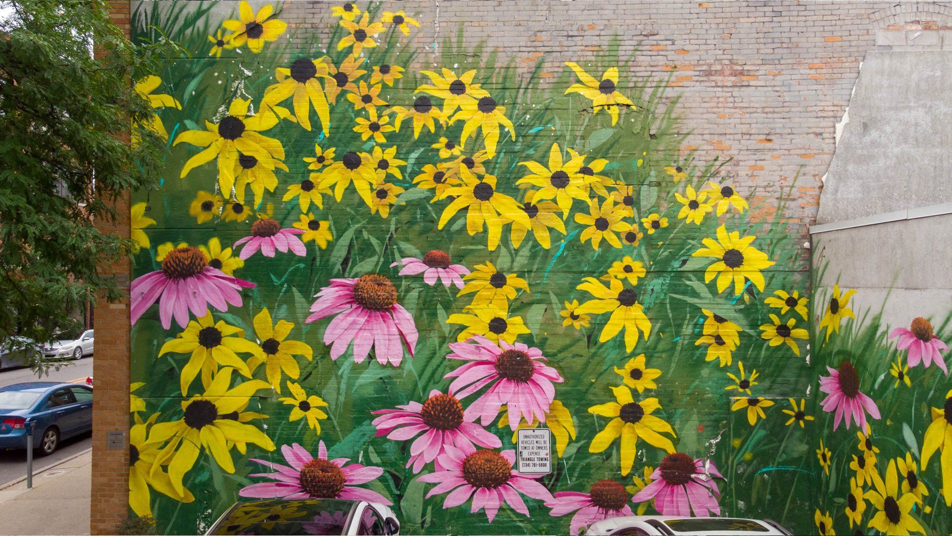 Augmented Reality Mural by BrandXR