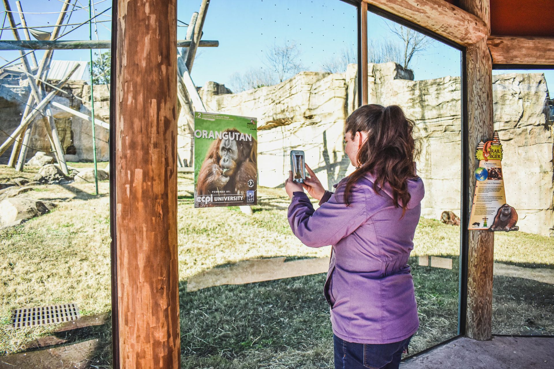 Augmented Reality at Virginia Zoo