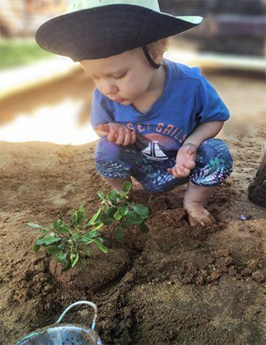 Child planting a plant — About Us In Alice Springs, NT