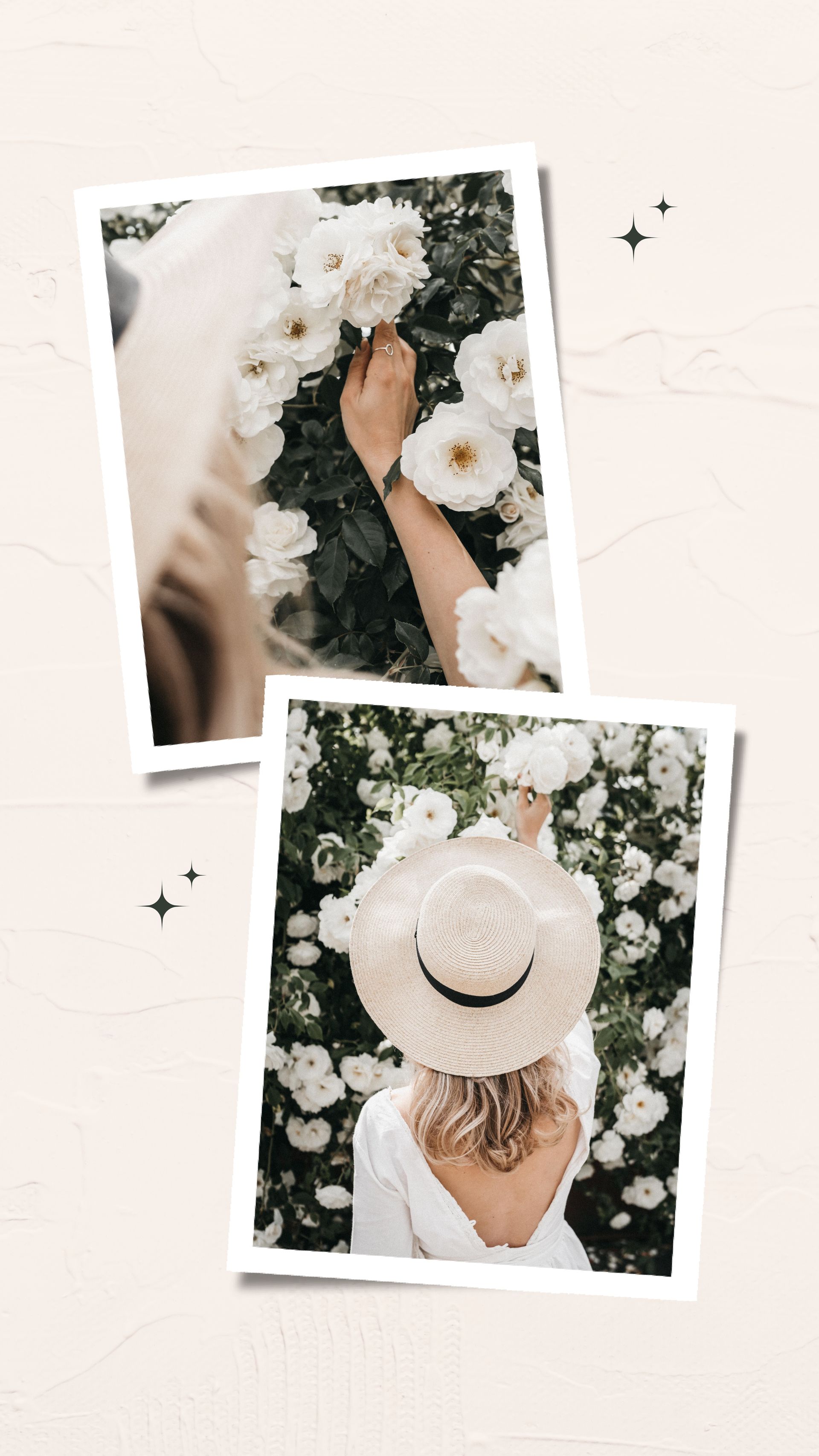 Femme en chapeau de paille et robe blanche parmi des roses blanches, touchant les fleurs.