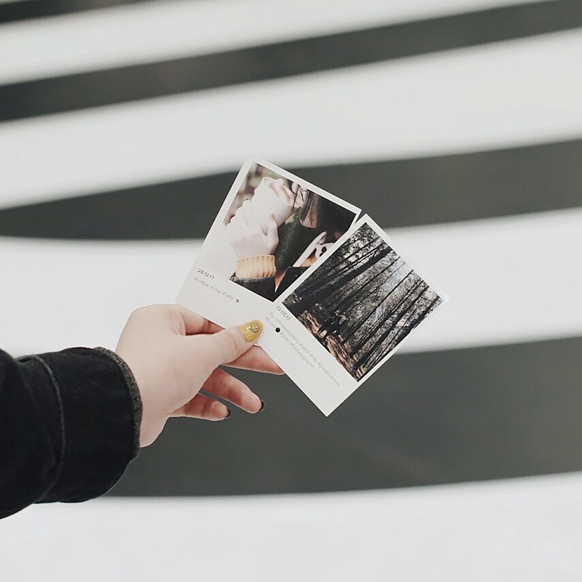 Main tenant une carte pliée ornée de photos de nature, devant un mur rayé noir et blanc.