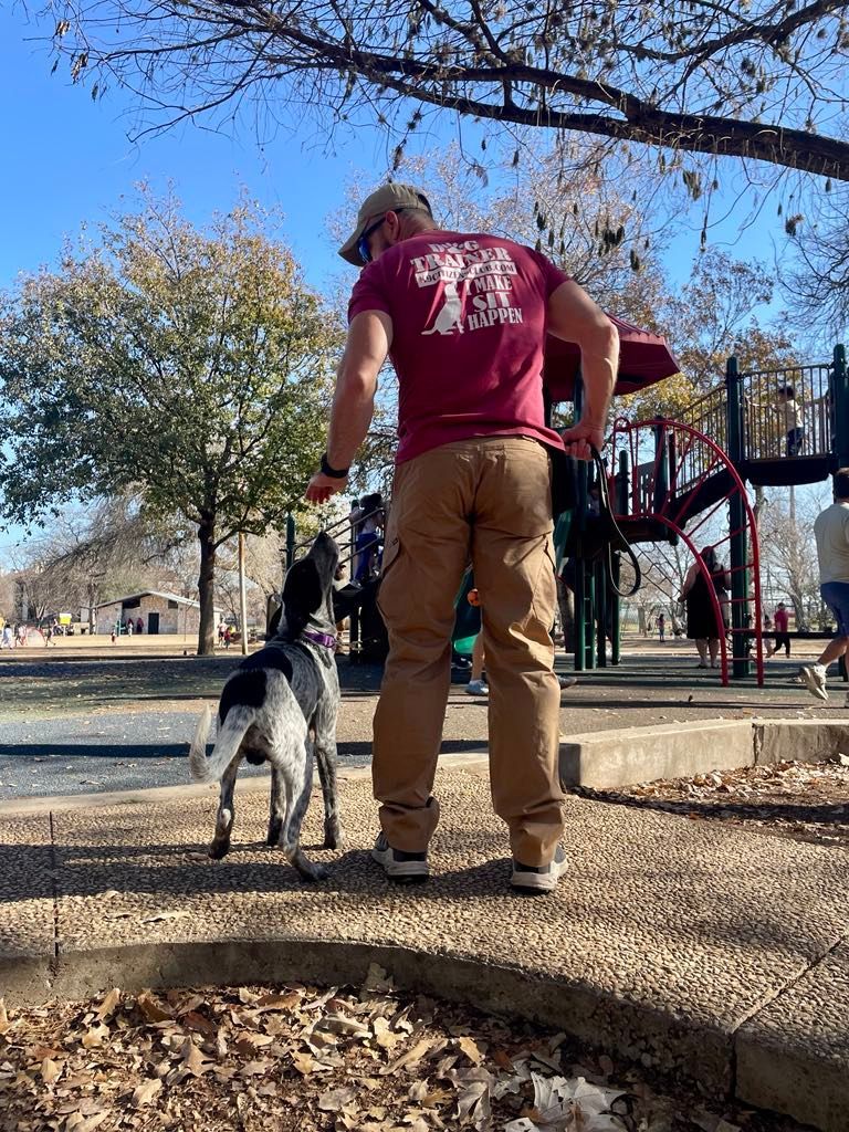 Man in maroon shirt and tan pants at a park with a blue and white dog. Playground in the background.
