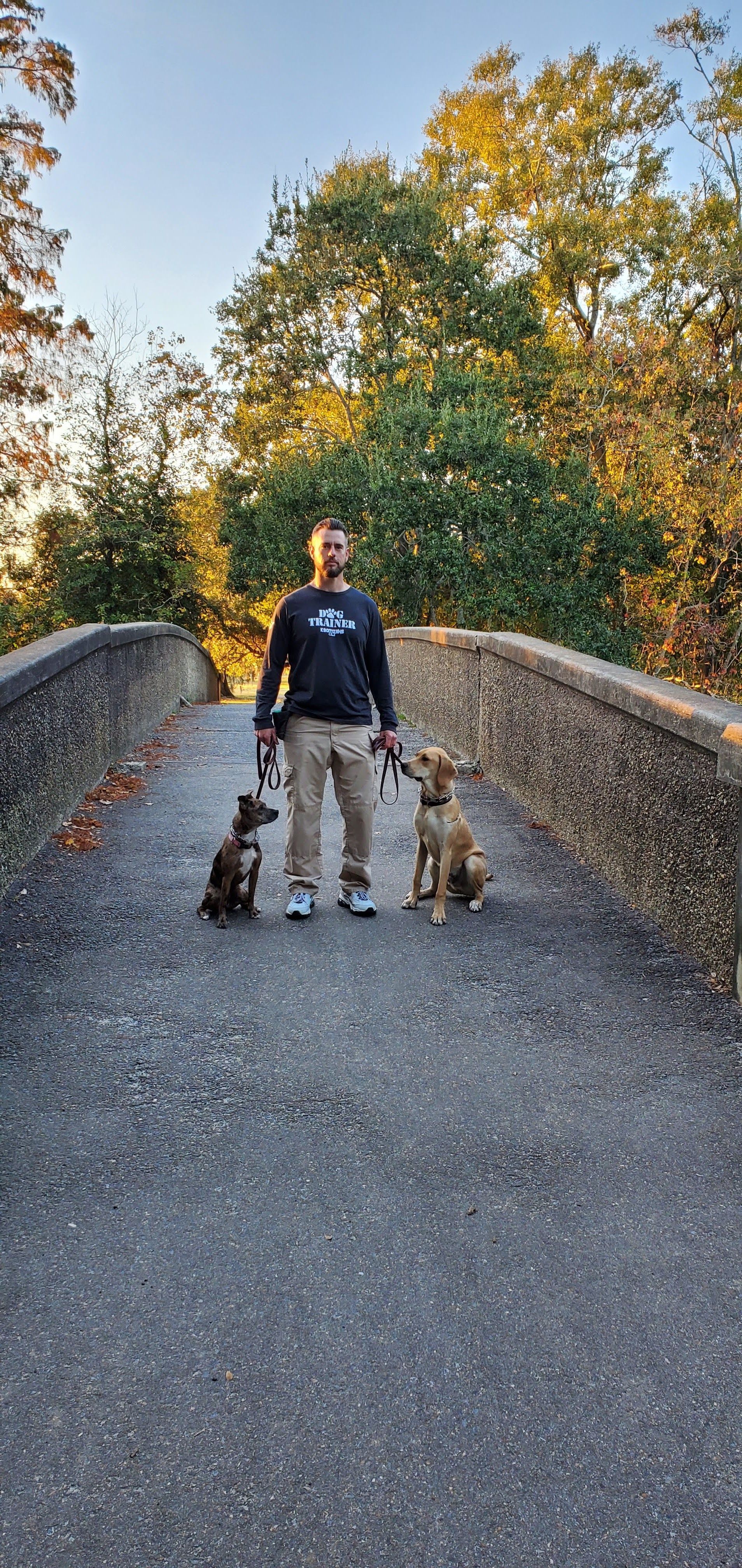 Person stands on a bridge with two dogs. Trees surround them.