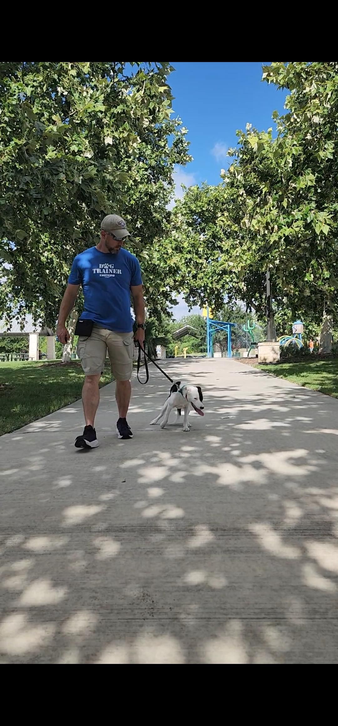 A person walking a dog on a path in a park with trees. Blue sky visible.