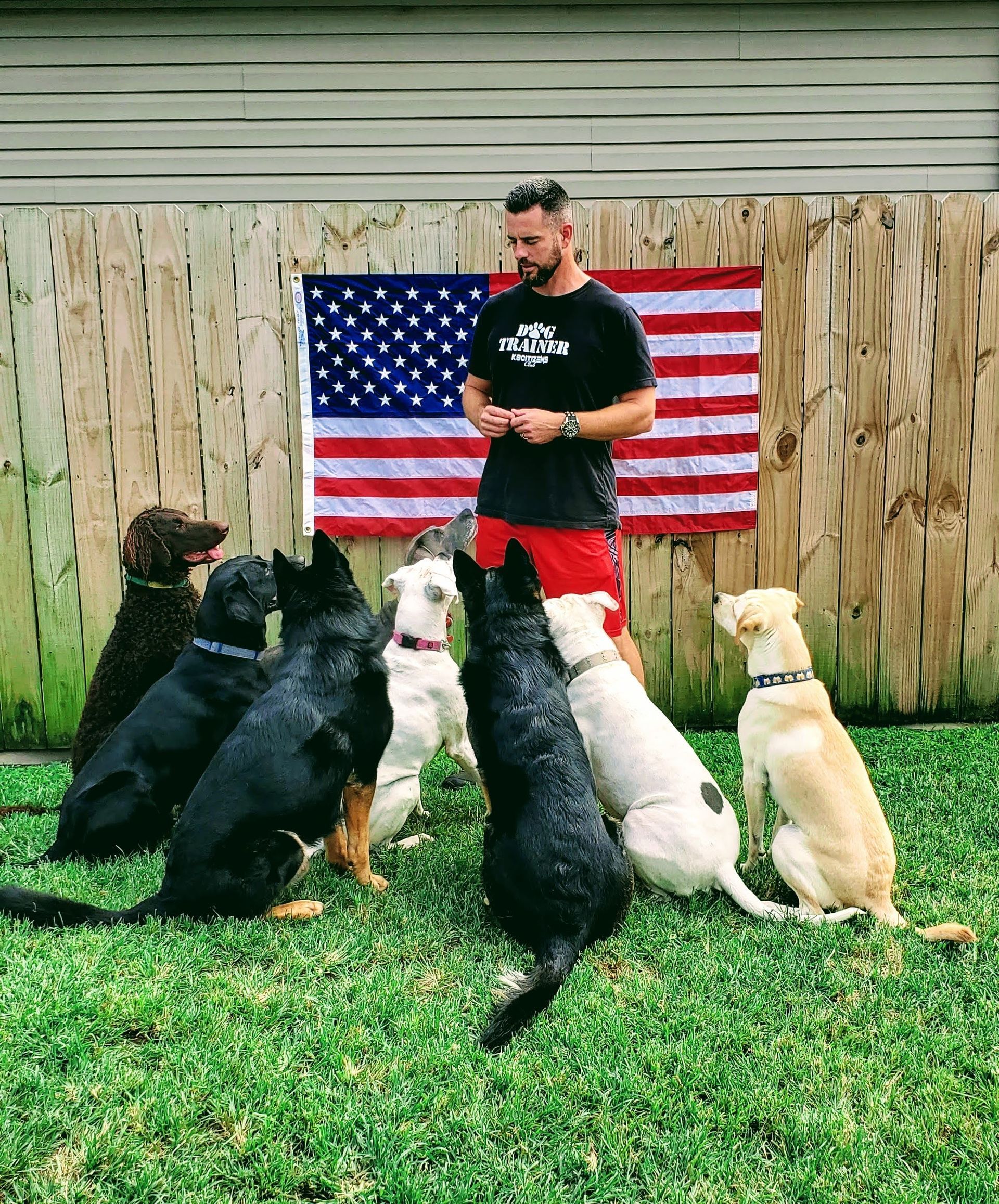 Man surrounded by dogs in a yard, American flag in background.