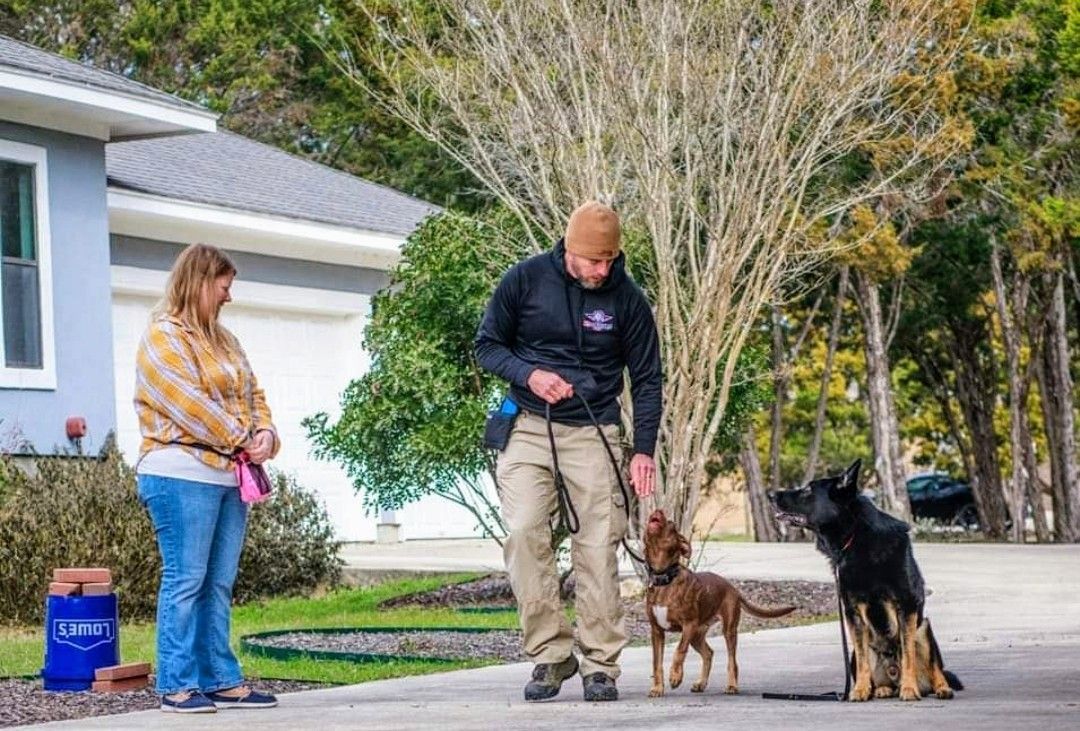 Dog trainer with two dogs outdoors; woman watches.