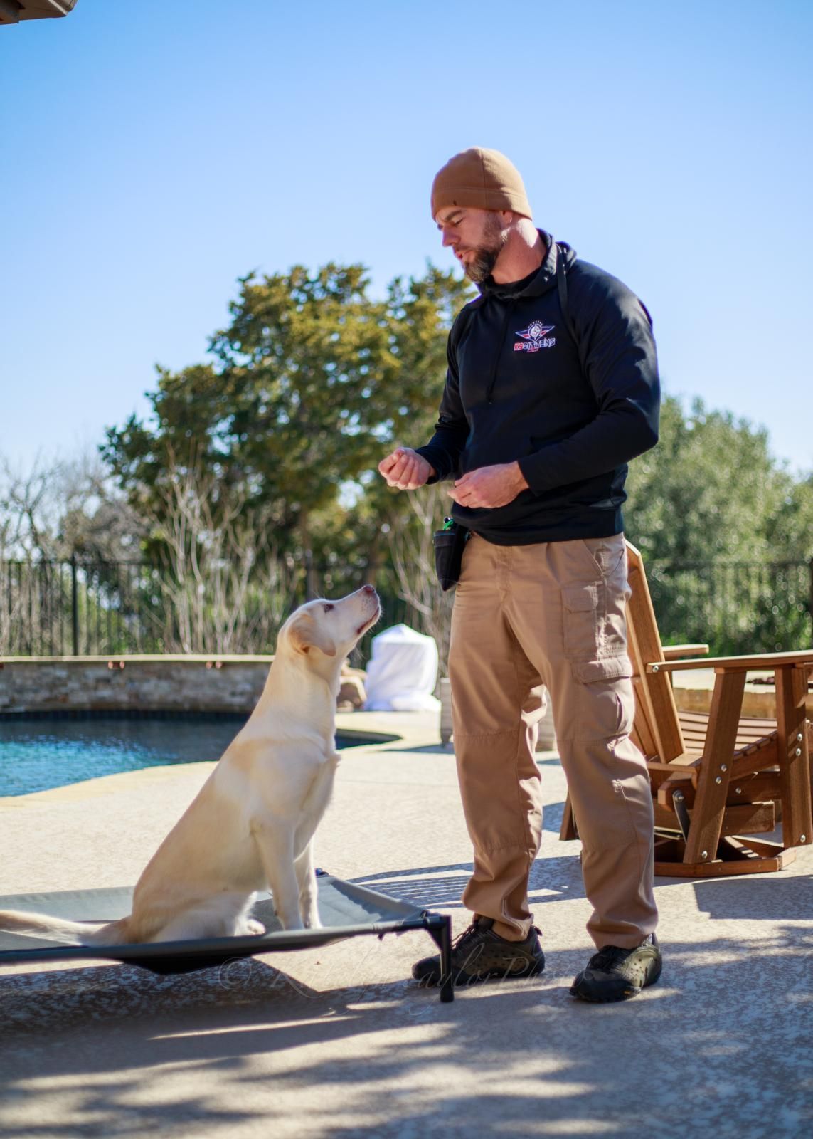 Man training a yellow Labrador outdoors with a treat. They are near a pool on a sunny day.